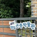 녹색로 41 이미지