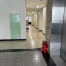 니아뷰티