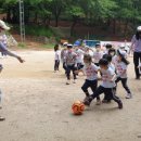 파주시청 이미지