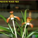홍*화 - 안양시 만안구 충훈로 14 | 홍*화