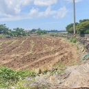 제주공감공인중개사사무소 이미지