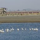 탑태양 태양광발전소 이미지