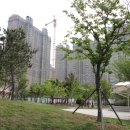 서항근린공원 이미지