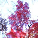 경기도 양주시 천보산(天寶山) 회암사(檜巖寺) &amp; 회암사지(檜巖寺址) 탐방 - (1/2)