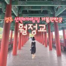도당산성 | 경주 가볼만한곳 힐링 산책코스 월정교!