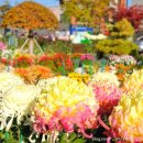 칠서면사무소 이미지