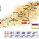 신탄대한약국 이미지