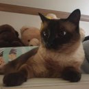 필립동물병원 이미지