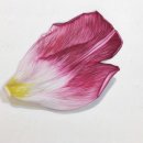 아트센터신선미술관 이미지