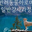 반려동물을 위한 천연아로마제품 원데이 클래스 이미지