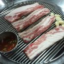 돼지복사 이미지
