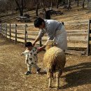 준우목장 이미지