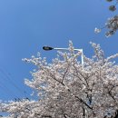 청수정협동조합 이미지