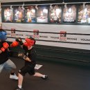 영바디복싱 이미지