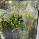 양재시장 | 기대 안 했는데 만족도 최고였던 주말 오후 양재꽃시장 영업시간