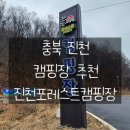 진천 포레스트 캠핑장 | [진천 캠핑장 추천] 역대급! '진천 포레스트 캠핑장' 할로윈 이벤트, 엄빠들도 진심이었던 그 현장!