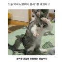마음드리 네이버블로그