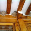 호수빌딩 이미지