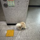 센텀필약국 이미지