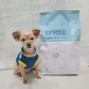 라비앙도그 이미지