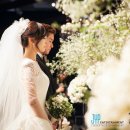 다온행정사무소 이미지