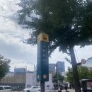 북촌2길 17 | 안국역 삼청동 스칸디나비아식 다이닝 레스토랑 내돈내산 솔찍후기