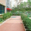 서울은빛초등학교 이미지