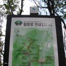 청학동404-8 | 오대산 환종주(15.10.3)로 깊어가는 가을을 엿보다