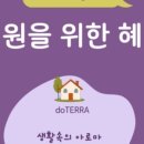 도그아로마 이미지