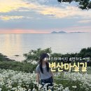 변산반도여행 변산마실길 데이지꽃 노을 풍경 후기