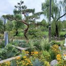 보라매공원 이미지