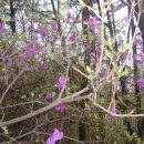 선황농장 이미지