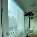 다산늘푸른약국 | 중계동 청구라이프 아파트 창문 청소 후기 (40평대 유리창 뿌셔뿌셔 다산·구리·강남·서초)