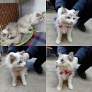 빌딩1 이미지