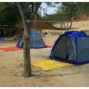 자연밸리 관광농원 이미지