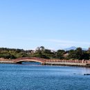 오조리-2 이미지