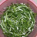 파김치 &amp; 골벵이 무침! 이미지