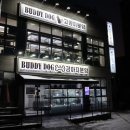 버디독 고양이분양 강아지분양 안심분양센터 인천점 이미지