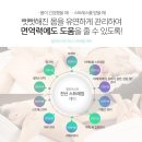 명가스트레칭