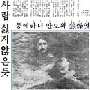 거북이 Daum카페