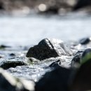 SK골드공인중개사사무소 이미지