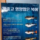 순이참복 이미지