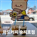 와드커피 송지호점