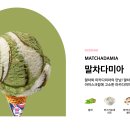 다미아 티스토리