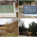 순천-27호 이미지