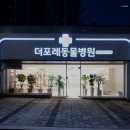 포레동물병원 - 성동구 성수일로 33 | 포레동물병원