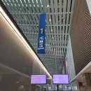 대한항공 KE037 to 시카고 오헤어 공항 - 프레스티지석 #보너스예매 #13시간순삭 #식사메뉴 🤎