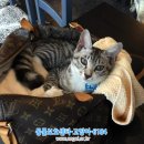 공용주차장앞 이미지