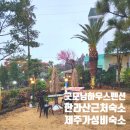 굿모닝세탁하우스 | 비오는제주여행 한라산근처숙소 굿모닝하우스펜션 에서 연박한이유 제주 가성비숙소 추천 아이와 이곳에...
