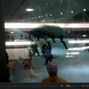 기석1호 이미지